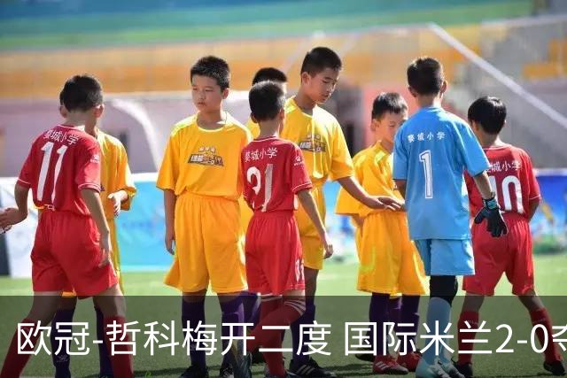 欧冠-哲科梅开二度 国际米兰2-0夺3连胜提前出线